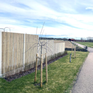Ribbstaket ett stående staket som en ribbvägg utomhus. Silvergrå kulör i en jordnära kulör som passar in i naturen. Betong och silverpäron intill.