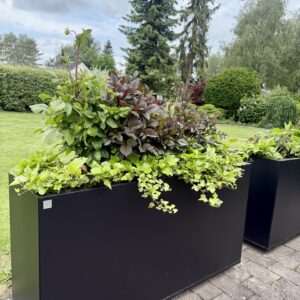 Planteringskärl som tål nordiskt klimat. Rumsavdelare på uteplatsen. Svart Plant Box.