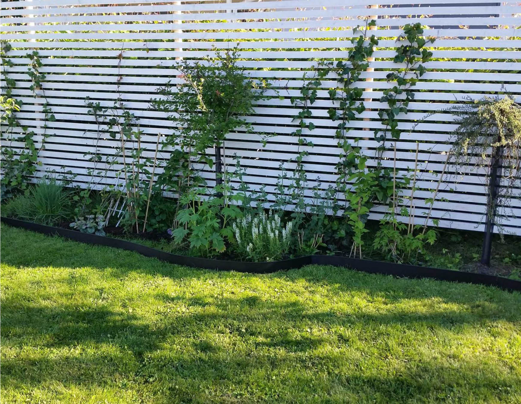 Svart rabattkant runt plantering i trädgård